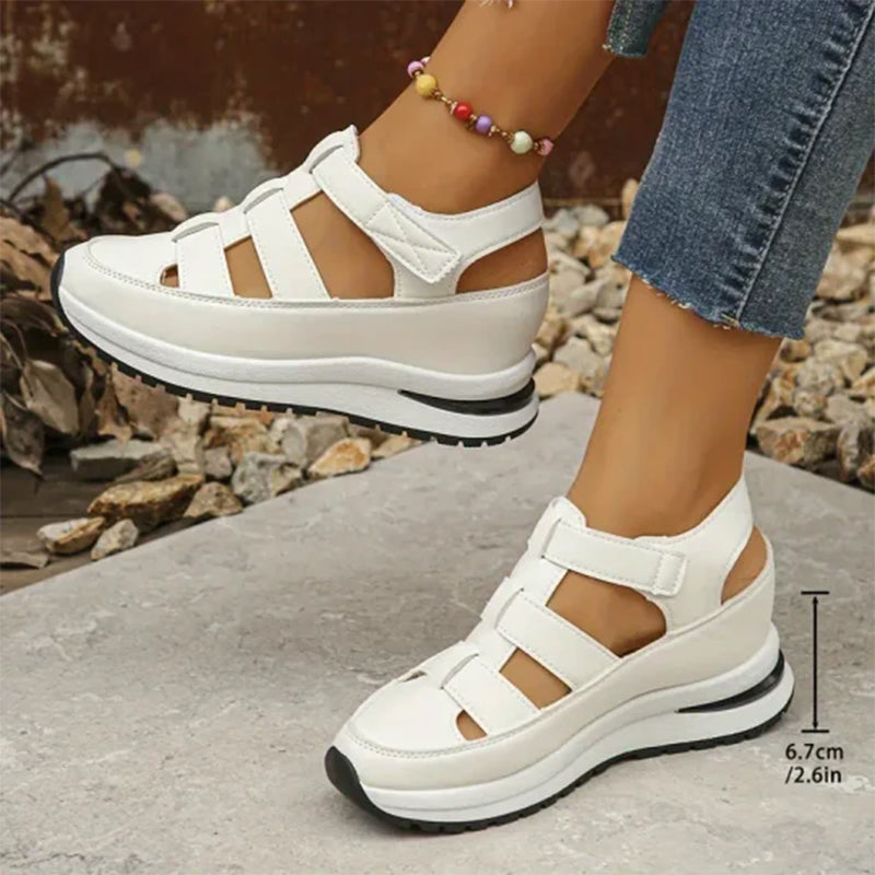 White (Almost sold out) / 12